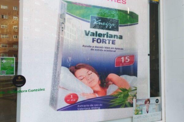 Pantalla led escaparate precio (2)